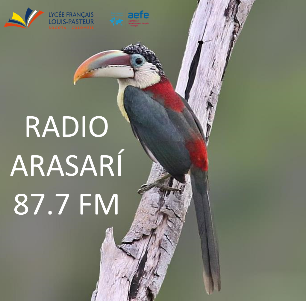 Enseignement-secondaire-vie-des-classes-radio-aracari