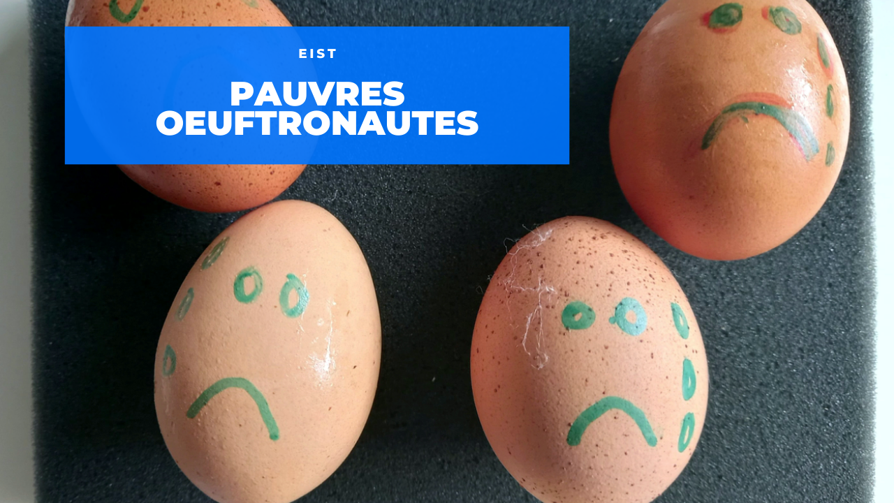Actu Enseignement Secondaire EIST Oeuftronaute 2022